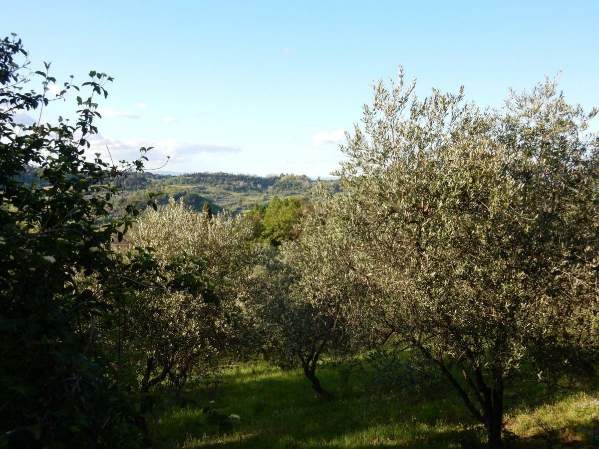 Agriturismo Anna-Rosa Legoli Exteriör bild